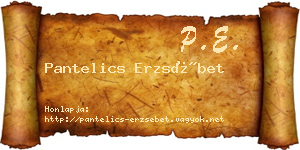 Pantelics Erzsébet névjegykártya